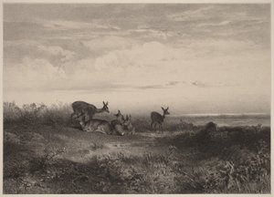 Laně od Karl Bodmer
