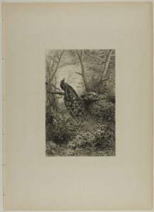 Pávi na větvi od Karl Bodmer