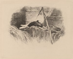 Holub na hnízdě. od Karl Bodmer