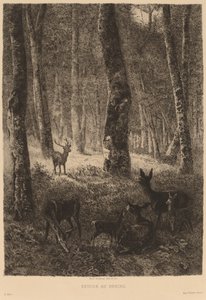 Zpět doma od Karl Bodmer