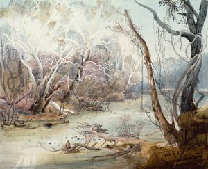 Fox River poblíž New Harmony, Indiana od Karl Bodmer