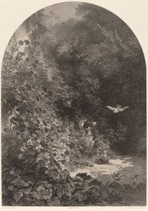 Koutek zahrady od Karl Bodmer