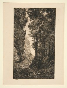 Rostoucí silnice v Auvers od Karl Daubigny