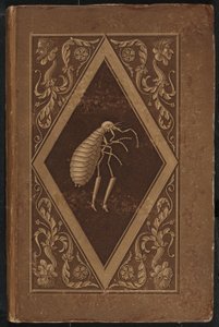 mistr blech. Pohádka v sedmi dobrodružstvích dvou přátel (Mistr Flea: A Fairy-Tale in Seven Adventures of Two Friends od Karl Friedrich Thiele, Ernst Theodor Amadeus Hoffmann