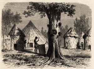 Strom války, ve vesnici Djour, oblast Bahr-el-Gazal, Súdán, kresba Karla Girardeta (1813-1871) ilustrující cestu k řece gazel A. Bolognesi v letech 1856-1857. Rytina v „“Le tour du monde““, editoval Edouard Charton od Karl Girardet