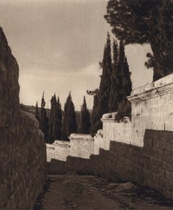 Jeruzalém, Getsemanská zahrada (černobílá fotografie) od Karl Grober