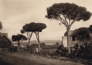 Libanon, Krajina (černobílá fotografie) od Karl Grober