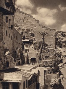 Mar Saba, Palma svatého Sabase (černobílá fotografie) od Karl Grober