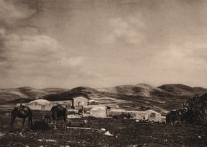 Samaří, pohled z ruin Herodova paláce (č/b foto) od Karl Grober
