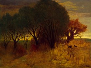 Moorlandscape od Karl Haider