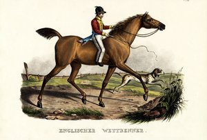 Anglický závodní kůň, 1824 od Karl Joseph Brodtmann