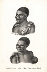 Domorodci z Tasmánie, Van Diemen