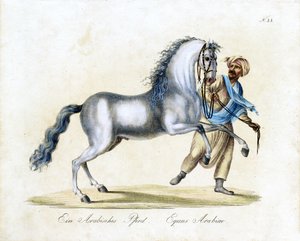  od Karl Joseph Brodtmann