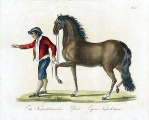  od Karl Joseph Brodtmann