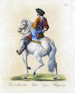  od Karl Joseph Brodtmann