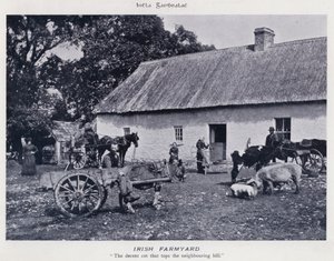 Irish Farmyard (č/b foto)