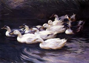 Kachny od Karl Lindner