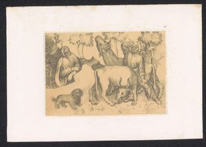 Paulus van Thebe je známý se dvěma ossens Návrhy a studie holandského mistra z 15. století. Století. Na základě originálů uchovávaných v Královské knihovně v Berlíně (název série)