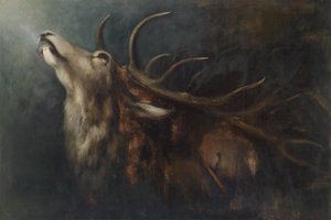 Umírající jelen od Karl Wilhelm Diefenbach