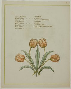 Dekorativní ilustrace z The Illuminated Language of Flowers od Kate Greenaway