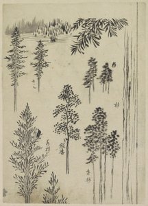 Krajina se stromy od Katsushika Hokusai (possibly)