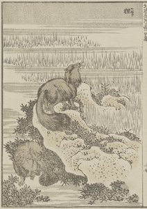 Jezevec, c. 1840 (dřevotisk) od Katsushika Hokusai