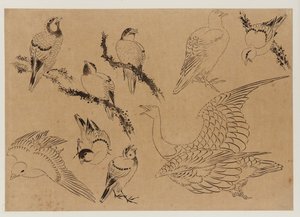 Ptáci, období Edo, konec 18.-začátek 19. století. od Katsushika Hokusai