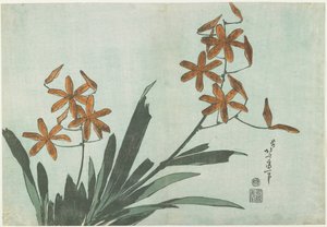Ostružinové lilie, asi 1832 od Katsushika Hokusai