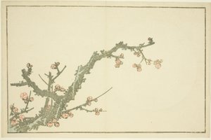 Kvetoucí švestka, z Obrázkové knihy realistických obrazů Hokusai (Hokusai shashin gafu) od Katsushika Hokusai