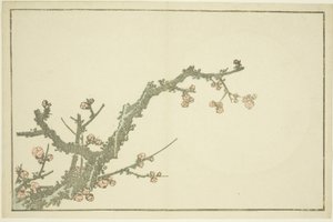 Kvetoucí švestka, z Hokusaiovy knihy realistických obrazů (Hokusai shashin gafu), asi 1814 (barevný dřevoryt (albový list)) od Katsushika Hokusai