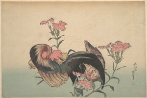 Kohout, slepice a nadeshiko (Dianthus superbus) od Katsushika Hokusai