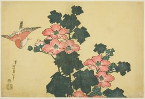 Bavlněné růže a vrabce z nepojmenované série Velké květy od Katsushika Hokusai