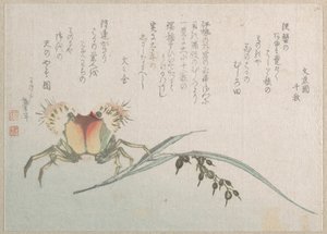 Závod na zpracování krabů a rýže od Katsushika Hokusai