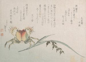 Závod krabů a rýže, 19. století. od Katsushika Hokusai