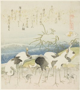 Cranes by the Shore, ilustrace k filmu The Leg Shell (Ashigai), ze série "A Matching Game with Genroku-period Poem Shells (Genroku kasen kai awase)" od Katsushika Hokusai