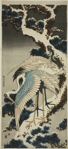 Jeřáby na zasněžené borovici od Katsushika Hokusai