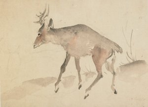 Jelen, konec 18.-začátek 19. století. od Katsushika Hokusai