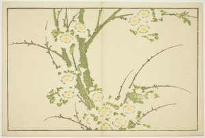Květiny, z Obrázkové knihy realistických obrazů Hokusai (Hokusai shashin gafu) od Katsushika Hokusai