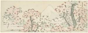 Fuji over Cherry Blossom, cca 1800-1805 (dřevořez) od Katsushika Hokusai