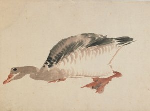 Husa, konec 18.-začátek 19. století. od Katsushika Hokusai