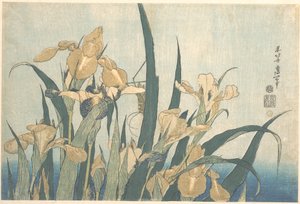 Kobylka a kosatec od Katsushika Hokusai