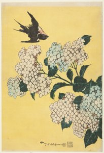 Hortenzie a vlaštovka, z nepojmenované série velkých květin od Katsushika Hokusai