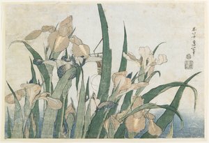 Iris Flowers and Grasshopper, c.1830-31 (barevný dřevořez)