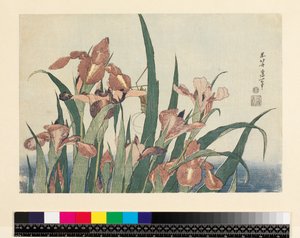 Kosatce a kobylka, hospoda. od Nishimura Eijudo, kolem 1832, (yoko-e - horizontální formát, barevný dřevotisk) od Katsushika Hokusai