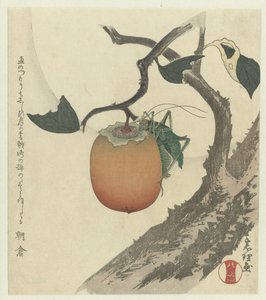 Kaki ovoce s kobylkou od Katsushika Hokusai
