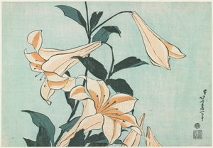 Lilie od Katsushika Hokusai