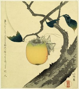 Měsíc, tomel a kobylka, 1807 (barevný dřevoryt) od Katsushika Hokusai