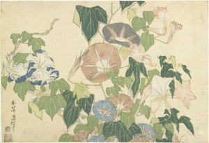Morning Glories and Tree Frog, z nepojmenované série známé jako Velké květy, kolem 1833-34 (barevný dřevotisk) od Katsushika Hokusai