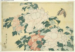 Pivoňky a motýl, z nepojmenované série velkých květin od Katsushika Hokusai