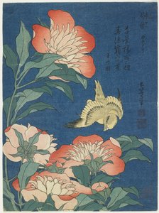 Pivoňky a Kanárské ostrovy, c. 1833 od Katsushika Hokusai
